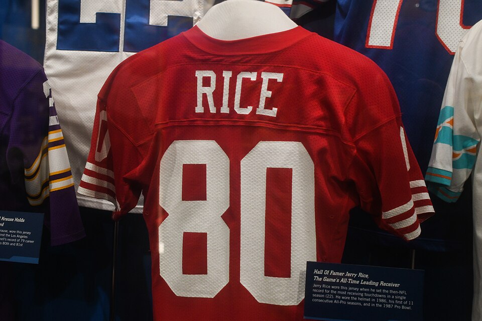 pro football hall of fame (27033778949)